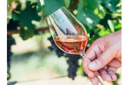 もう知らないとは言えないナチュラルワイン、その定義からきちんとお教えします。 画像