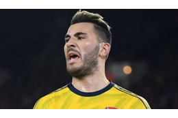 コラシナツ、妻も武闘派…「違法武器持ち込み」で拘束される 画像