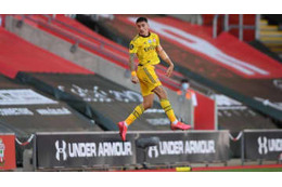 ベジェリンの「慈善活動失敗」を助ける！某大手企業の動きが話題に 画像