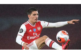 ベジェリン、木を植える 画像