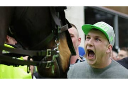 ニューカッスルサポにブン殴られた馬、死去する 画像