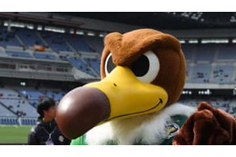 東京ヴェルディのマスコット、「ヴェルディ君」が電撃勇退！ 画像