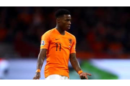 従弟を刺した容疑のオランダ代表FW、釈放も容疑晴れず 画像
