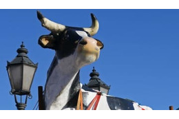 暴走する元選手の車！「牛の人形」が女性を救う瞬間が奇跡すぎる 画像