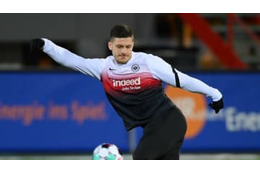 「僕はスターじゃないキツネ」 ヨヴィッチが認める 画像