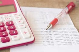 ボーナスが出たら、資産表で貯蓄の増減をチェック！ 画像