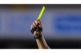 選手に平手打ちされた審判、試合を中止して全力逃走する 画像