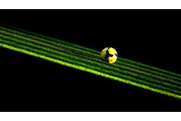 授業を休んだ16歳高校生がプロ相手にハットトリックの大暴れ！“記念ボール”を拒否される珍事も 画像