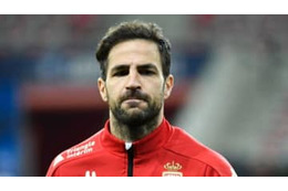 セスク、車を壁にぶち当てまくる 画像