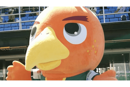 関西リーグ第2節にQolyが直撃！2つの「劇的AT同点劇」をレポ 画像