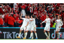 デンマーク、EUROベスト16進出！パブリックビューイングも大変なことになる 画像