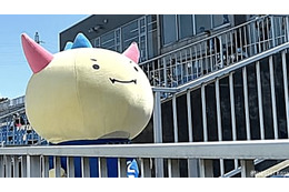 我那覇和樹、先制ゴール！福井ユナイテッド対新潟医療福祉大の試合に直撃 画像