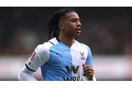 「もっとやれよ」 21歳若手、悪名高き最恐ファンの“ボトル投げつけ”に応戦 画像