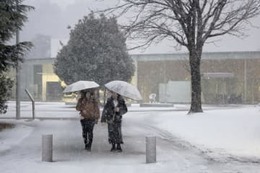日本海側大雪、死者や事故 画像