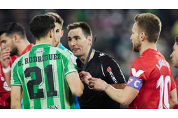 セビージャ選手に「槍状の棒投げつけ」の凶行、前科持ちの29歳男逮捕 画像