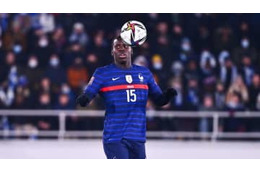 猫を殴る蹴る動画が流出…炎上のフランス代表DF、謝罪するが起訴の可能性も 画像