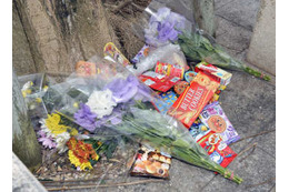 兄が「落ちた」で母が異変気付く 画像