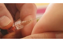 伊東純也の最終戦で戦慄怪事件…ファン14人が注射針で刺される 画像