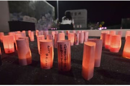 「忘れまい」77人を追悼、広島 画像