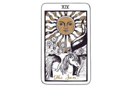 【11/14（月）の運勢をチェック！】ポジティブな言葉で自分の思いを伝えてみて！ 画像