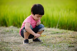 公園でしゃがんで真剣にアリの行列を観察する息子…→次の瞬間、まさかの言葉に「大笑い」「とても可愛らしい」 画像