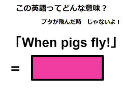 この英語ってどんな意味？「When pigs fly!」