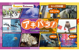 ハロウィンや秋イベント「アキパラ」八景島シーパラ10月