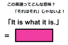 この英語ってどんな意味？「It is what it is.」