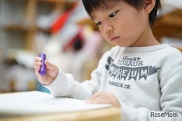 伸芽会「名門幼稚園入試」動画配信