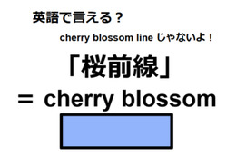 英語で「桜前線」はなんて言う？