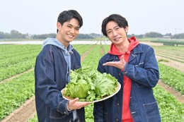 Aぇ! group正門良規、尊敬する事務所の先輩とは 4年ぶり「相葉マナブ」登場