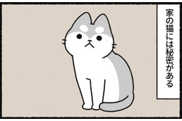 うちの猫には秘密がある！うっかり丸いものを見ると、 狼になってしまう猫【ねこもんすたー ＃３】