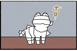 ボロボロだけど大丈夫？ 猫のミイラをブラッシングすると、ピカピカに大変身！【ねこもんすたー ニャーオ! ＃６】