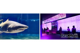 サメの種類日本一、大洗水族館で特別バックヤードツアー6/22