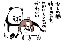 自分がした「おなら」の音にびっくり！愛犬・梅吉が少し後ろを確認してるのは、なぜ？【パンダと犬 ＃７】