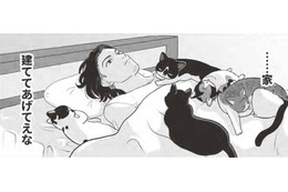 猫が遊べる「家」建てたい…飼い主を放っておかない猫ライフ？【借金1000万作曲家の人生を変えてくれた猫の話 #10】 画像