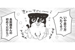 「マンション買ってよかった〜」駆け寄る猫の姿に幸せMAX。走り方がヘタなのには理由が…【借金1000万作曲家の人生を変えてくれた猫の話 #12】