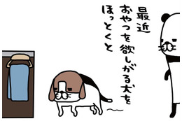 食事はカリカリとジャーキーの繰り返し。全く飽きたそぶりナシ？【パンダと犬 ＃15】