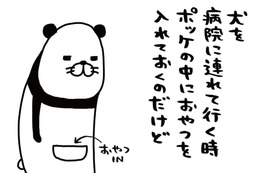 犬を病院に連れて行くときの必需品、それはオヤツ。しつこく嗅いでくる愛犬。バレてる？【パンダと犬 ＃17】 画像