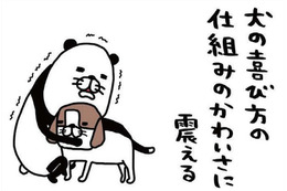 愛犬・梅吉は寝ながら「おなら」…愛おしくて抱くと、まさかの真実が？【パンダと犬 ＃18】 画像