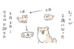 愛犬むっくの誕生日…楽しいことがいっぱいあるらしいと理解した様子だが？【うちのむっくはいつも楽しそう #10 】 画像