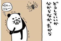 家に巨大なクモが出現!! 心を落ち着かせるため、震える手で愛犬・梅吉を…【パンダと犬 ＃19】