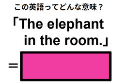 この英語ってどんな意味？「The elephant in the room. 」