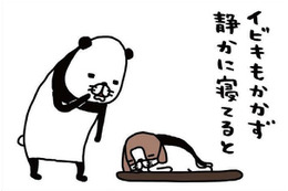 ヨボヨボの愛犬、14歳の梅吉。静かに寝てると思わず取ってしまう行動は？【パンダと犬 ＃24】 画像