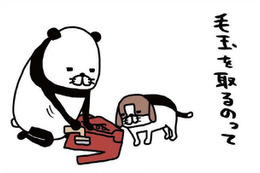 毛取り機でジョリリ～と毛玉除去♪ 愛犬も見守って楽しそう⁉【パンダと犬 ＃25】