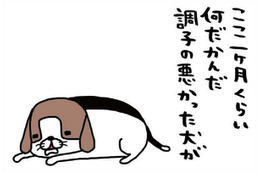 飼い主あるある！「何しに来たっけ？」用事でリビングへ行ったのに、愛犬に夢中で【パンダと犬 ＃28】 画像