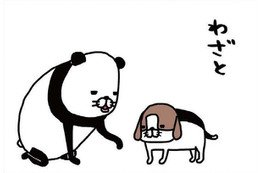 犬にわざと手をふんでもらう理由は？愛犬の肉球、何を感じる？【パンダと犬 ＃30】 画像