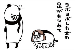 ヨロヨロ愛犬が立てず、駆け寄ると…。恩返しの「おなら」炸裂!?【パンダと犬 ＃37】