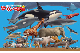 小学館「くらべる図鑑」が実物大に…神戸で夏の特別展