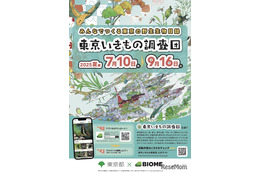【夏休み2025】アプリで参加「東京いきもの調査団 夏編」9/16まで